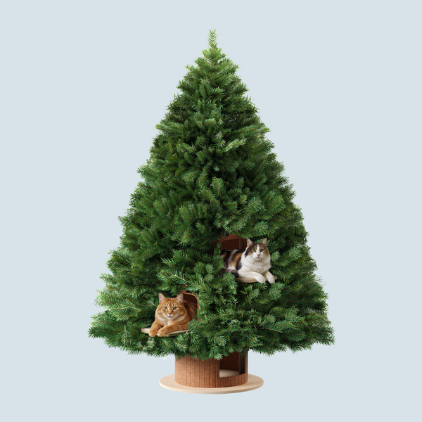 Cat Christmas Tree