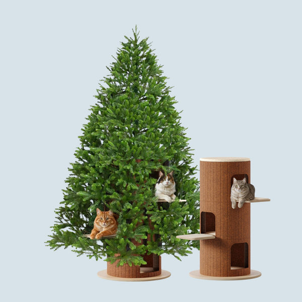 Cat Christmas Tree