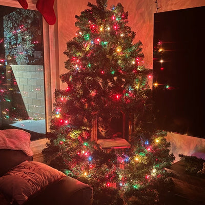 Kayleigh + Milo & Manchitas - California