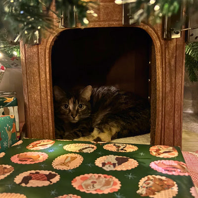 Stephanie + Pete & Calliope - Arizona