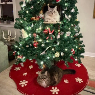 Todd + Gambit, Kari & Sief - Virginia